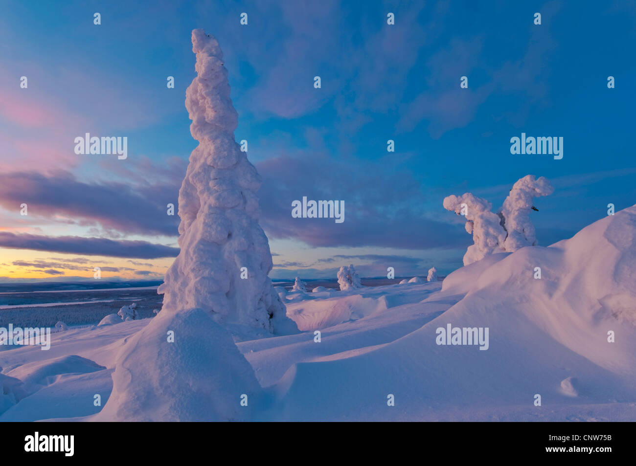 evening mood in snowy landscape in Stubba National Park, Sweden, Lapland, Muddus NP, Galivaere Stock Photo
