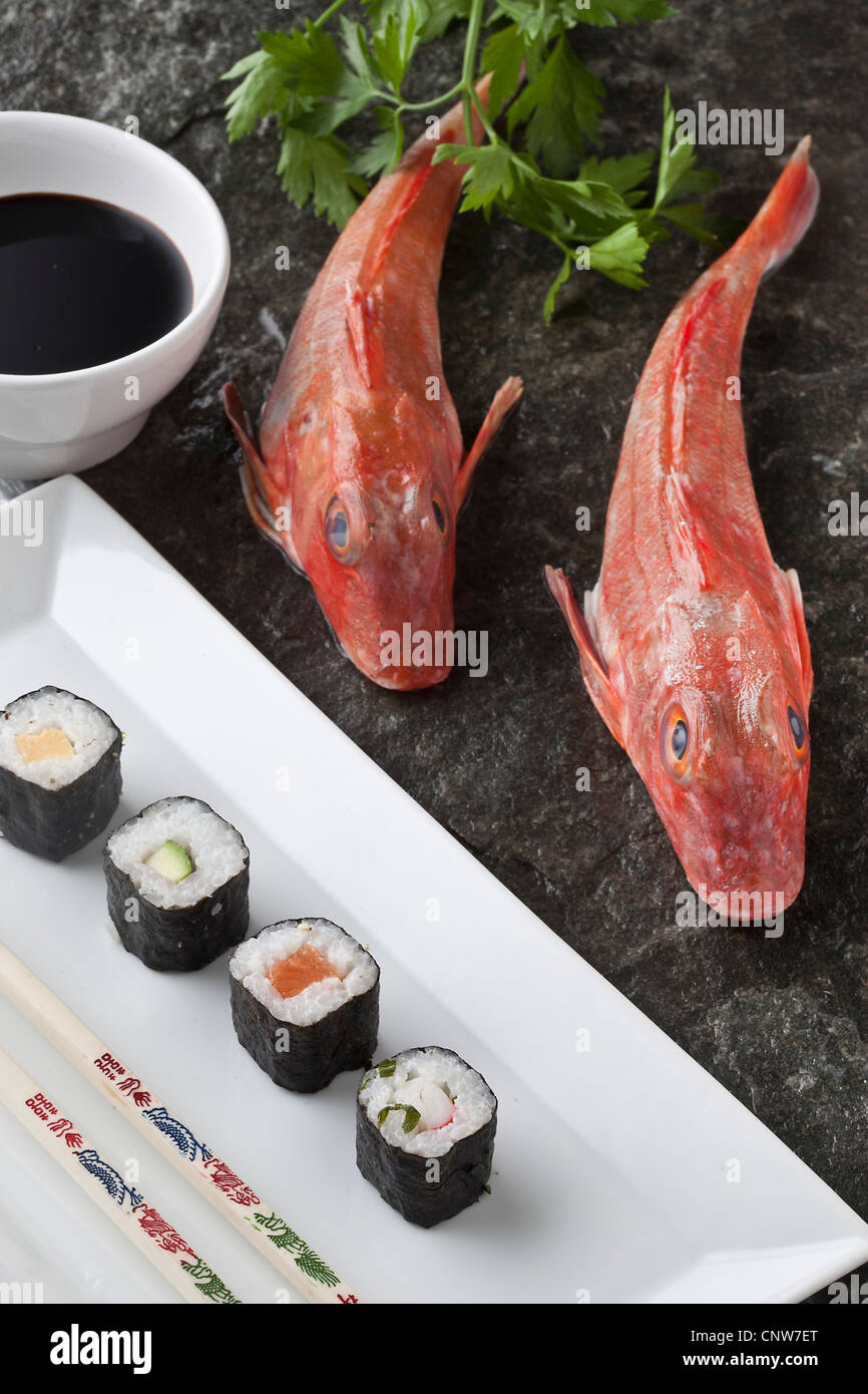 Plate of tub gurnard fish with sushi Stock Photo