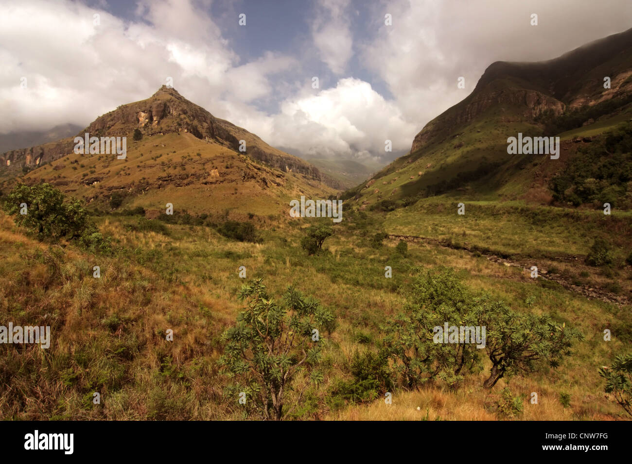 Cathedral Peak, South Africa, Kwazulu-Natal, Drakensberge Stock Photo ...