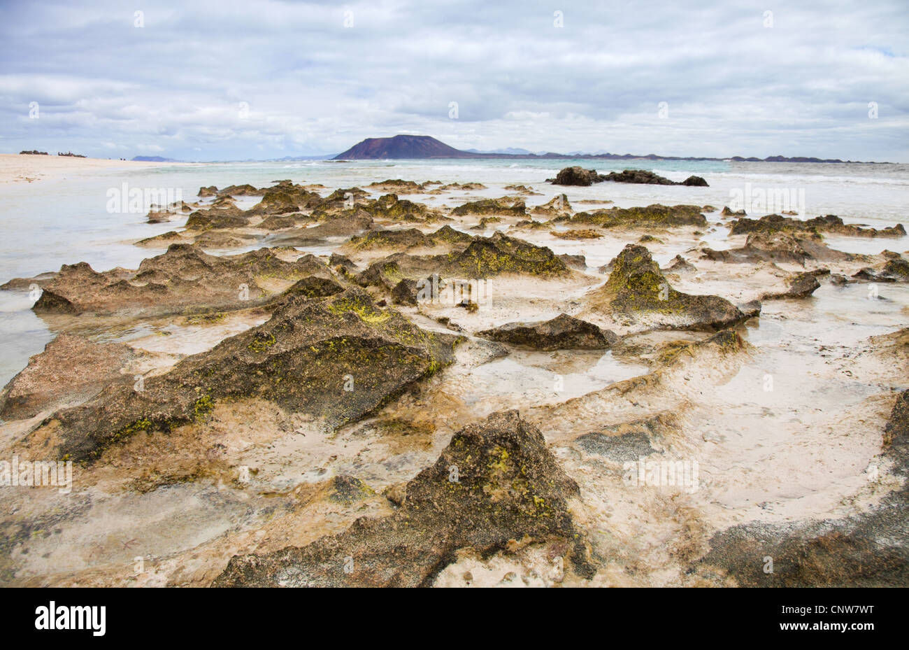 Fuerteventura, Canary Islands, Flag Beach Stock Photo