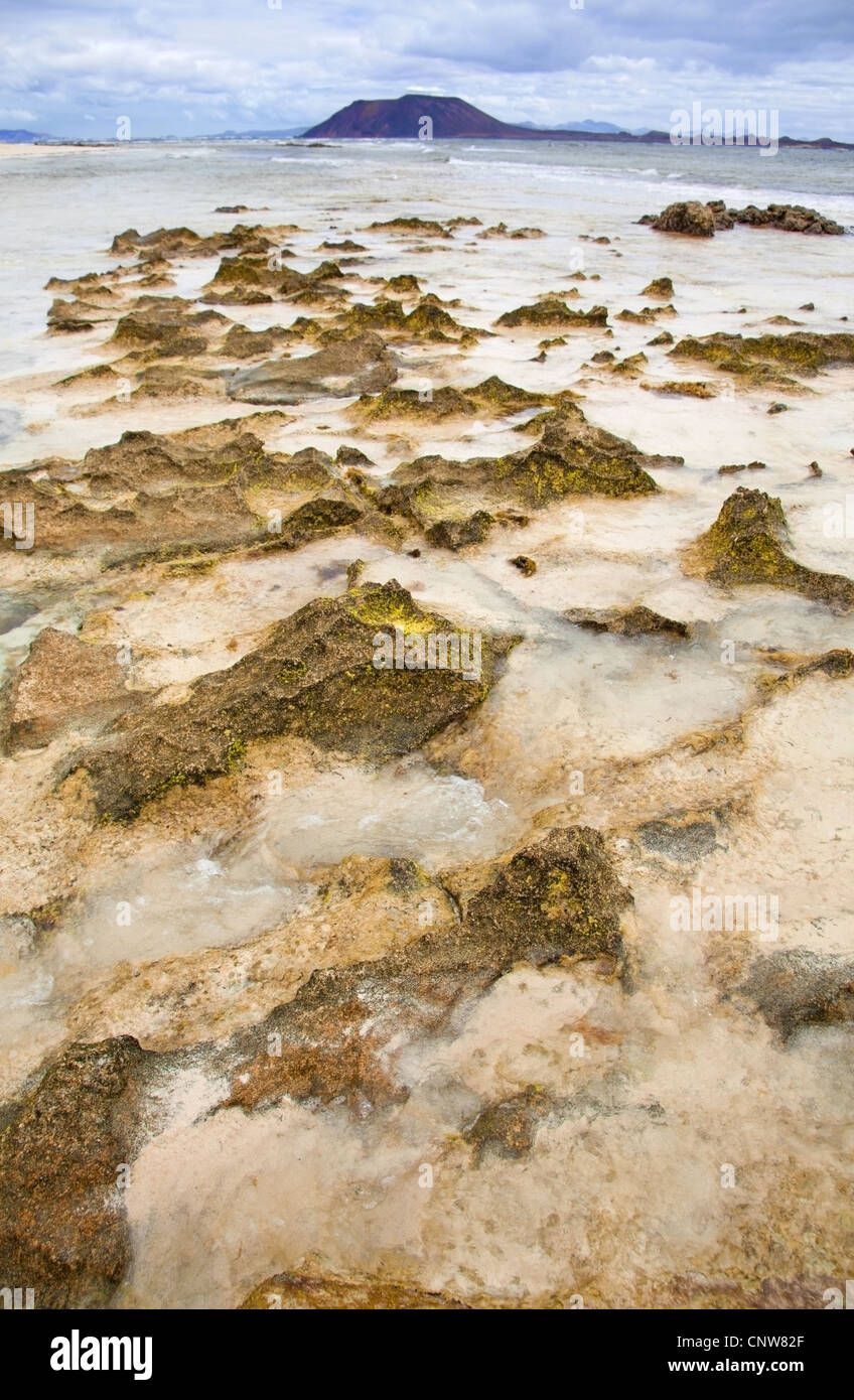 Fuerteventura, Canary Islands, Flag Beach Stock Photo