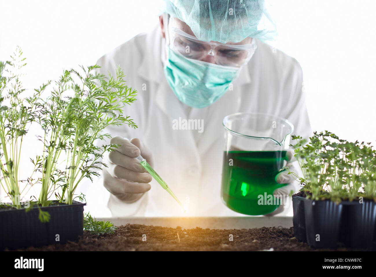 Scientist dropping liquid on plants Stock Photo