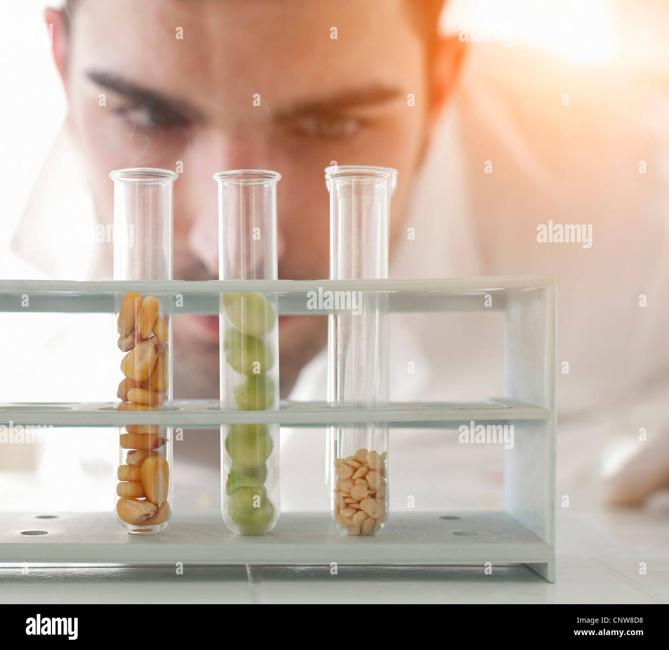 Scientist examining seeds in test tubes Stock Photo