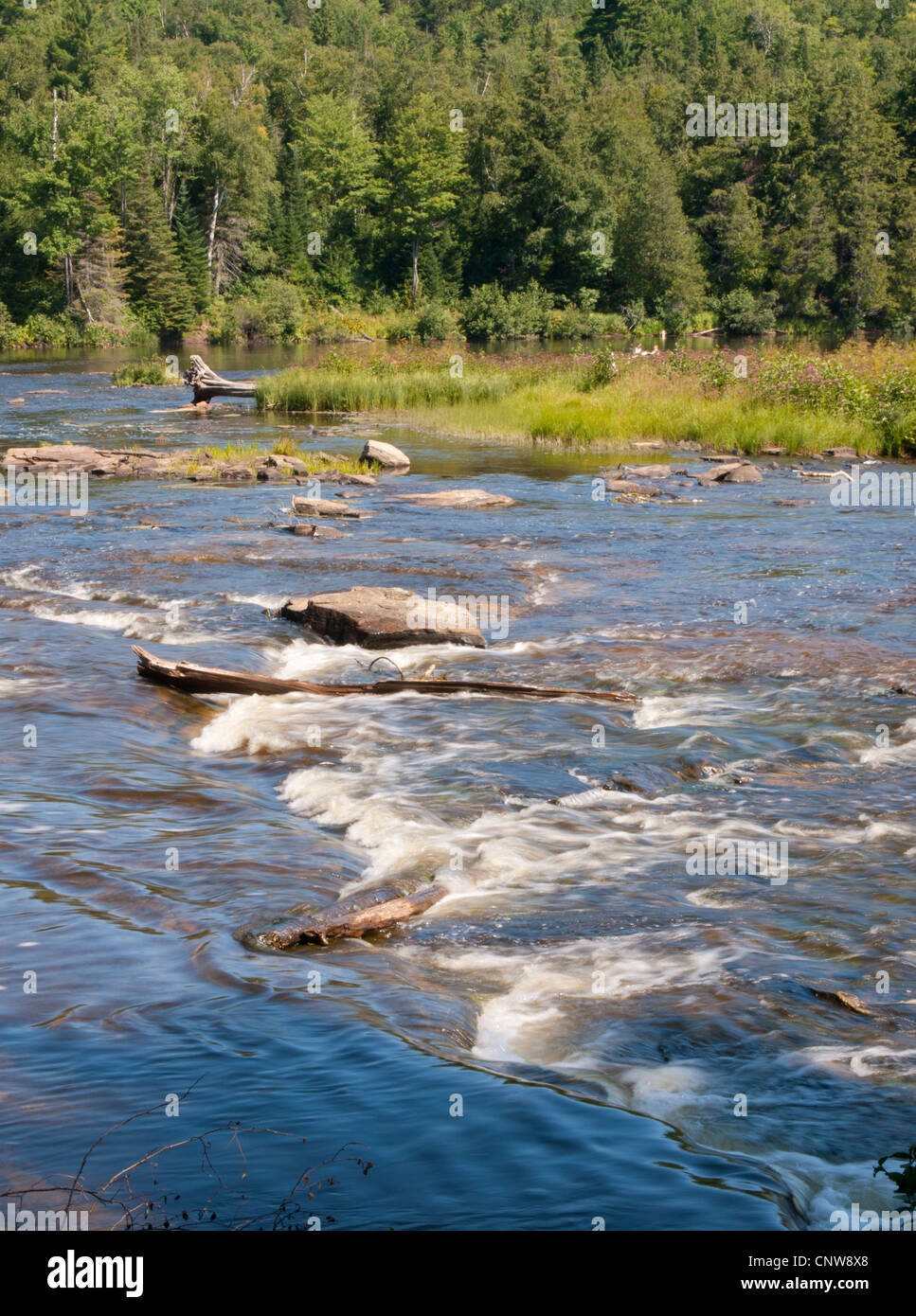 Tahquamenon Falls State Park and the Tahquamenon River in Michigan's Upper Peninsula. Stock Photo