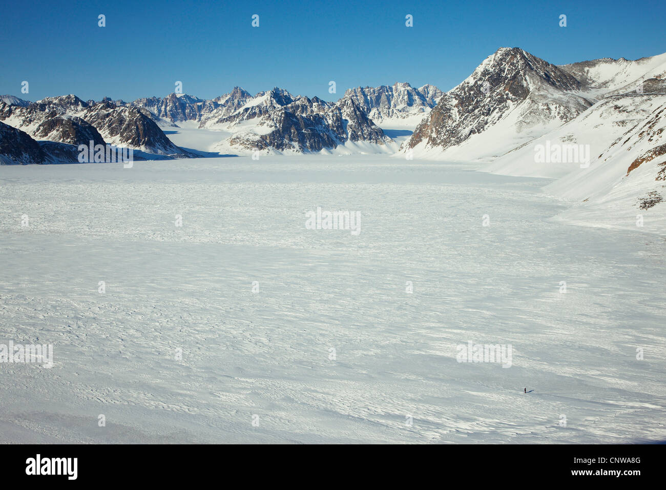 lone person on a wide snow field surrounded by mountain range, Greenland, Ostgroenland, Tunu, Kalaallit Nunaat, Liverpool Land, Kap Hoegh Stock Photo