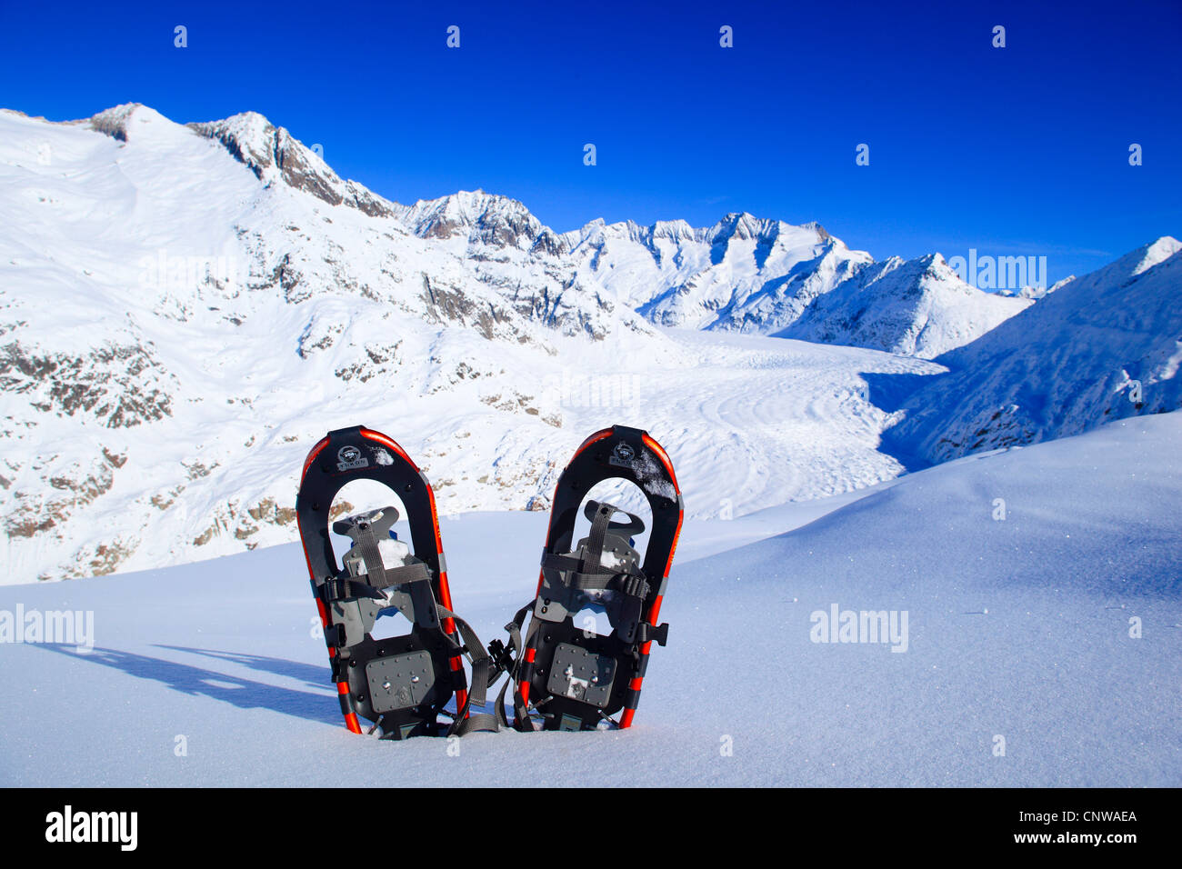pair of snow shoes stuck into an untouched snow field in the Valais Alps in front of winterly snow-covered Wannenhorns and Aletsch Glacier, Switzerland, Valais Stock Photo