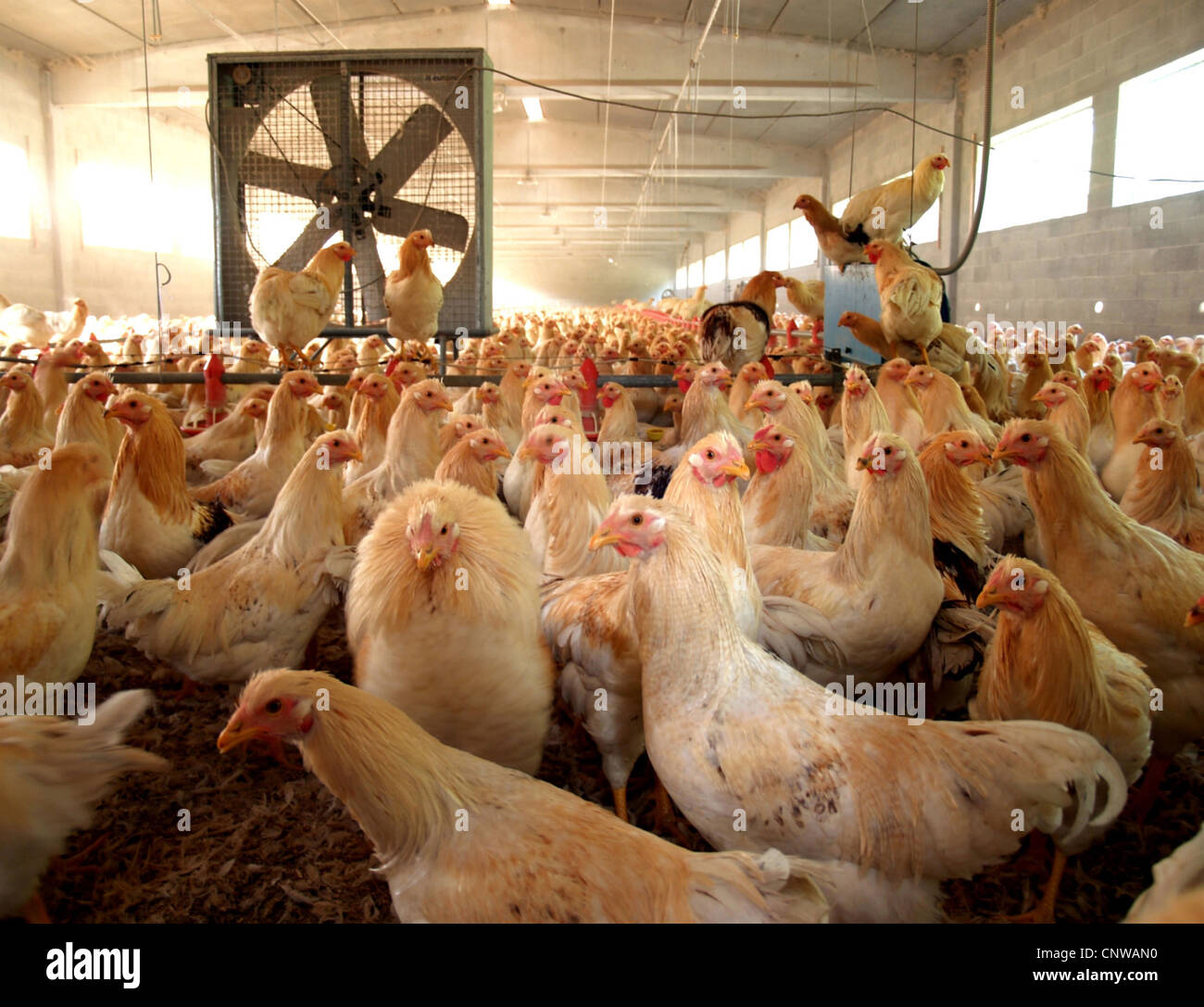 Exhaust blowers hires stock photography and images Alamy