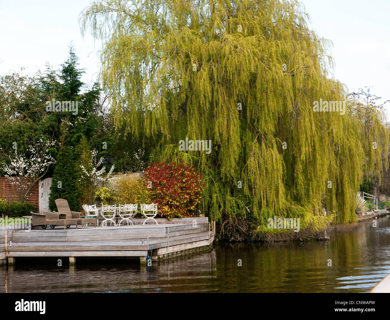 Picturesque landing stage by a weeping willow with reflections on the River Thames, Oxfordshire, UK Stock Photo