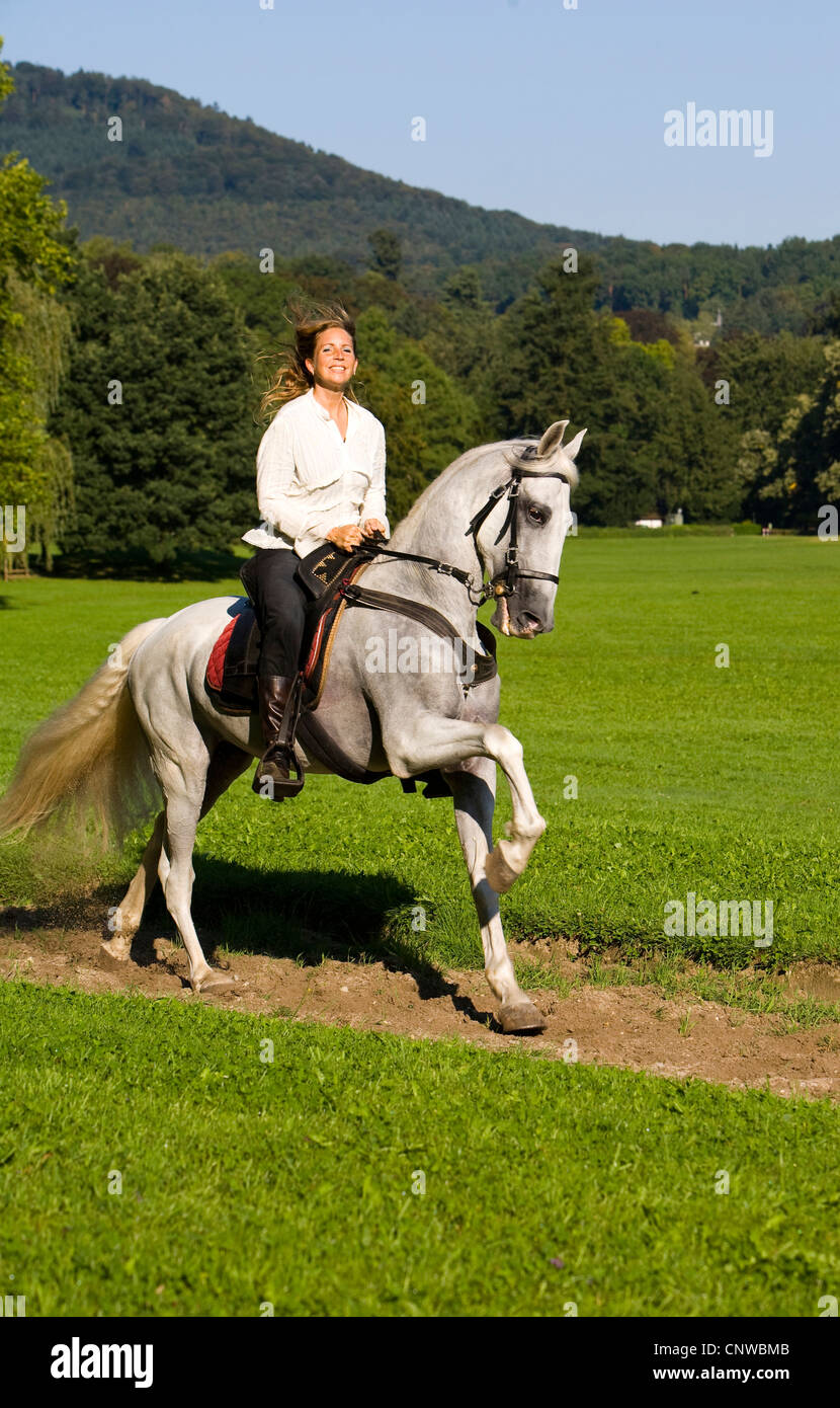 young woman riding on white horse, Germany, Baden-Wuerttemberg Stock Photo