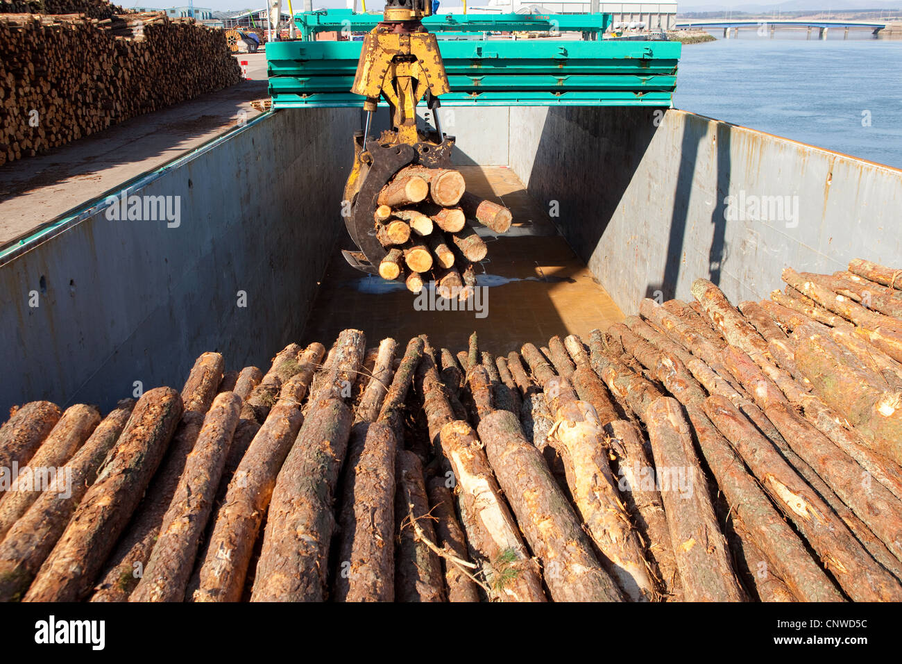 Logging Industry Loading fresh timber into ships cargo hold. Montrose