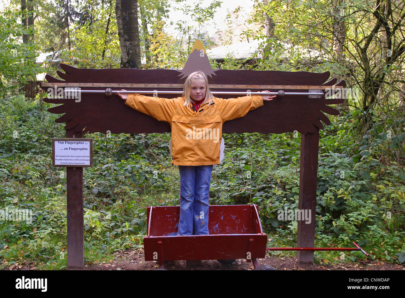 girl in front of a sea eagle model top compare its size Stock Photo