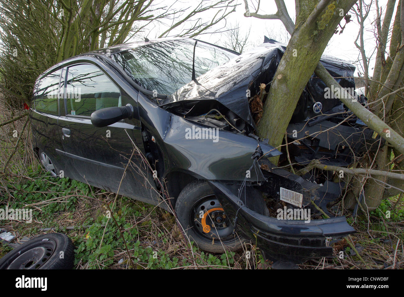 car crash into a tree Stock Photo