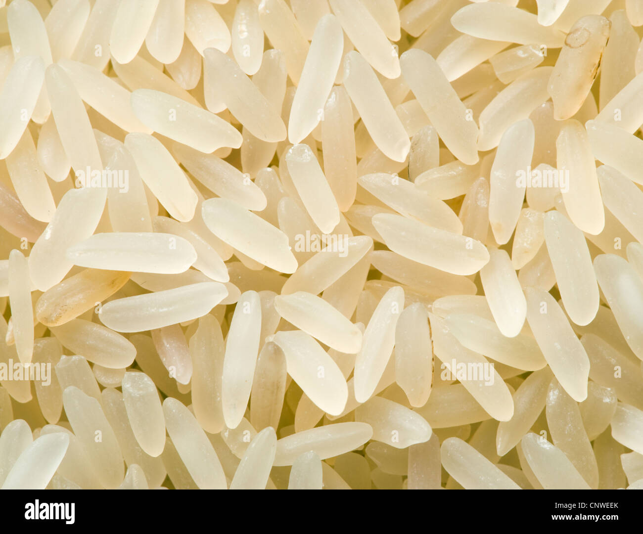 Rice grains, close up. Uncooked Stock Photo - Alamy