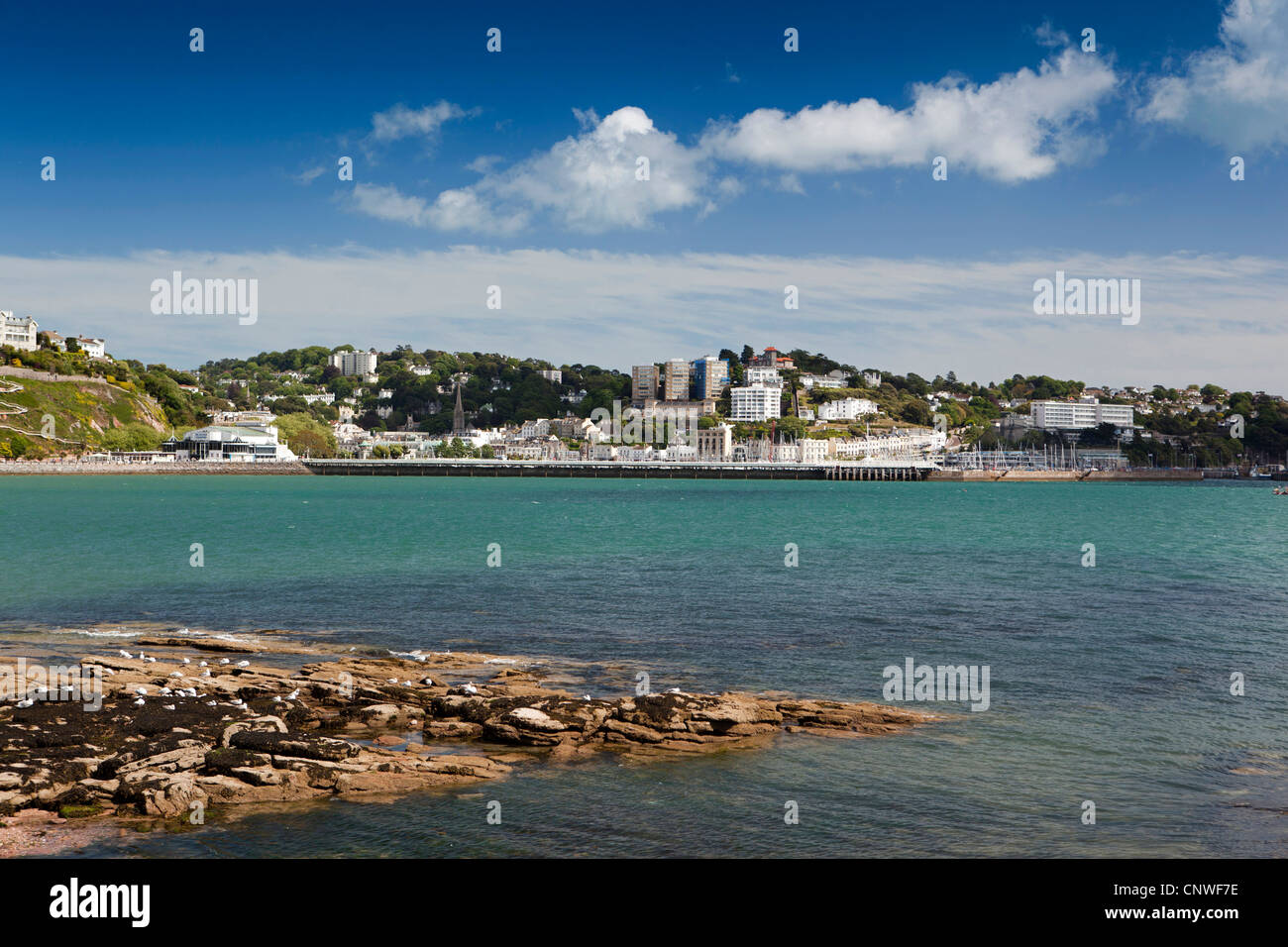 UK, England, Devon, Torquay, seafront and Torbay from Corbyn Head Stock Photo