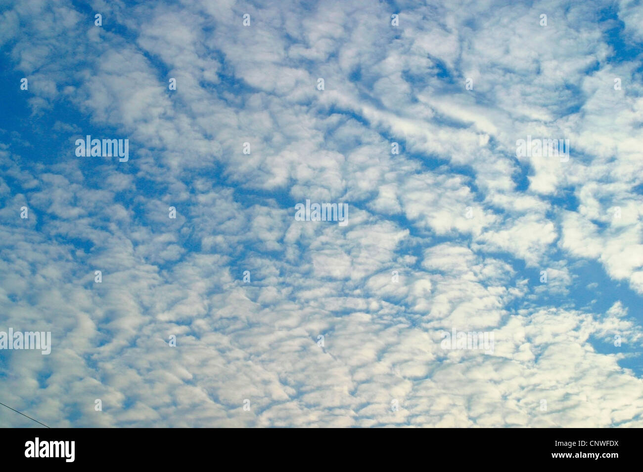 cirrocumulus clouds at the sky, Romania Stock Photo