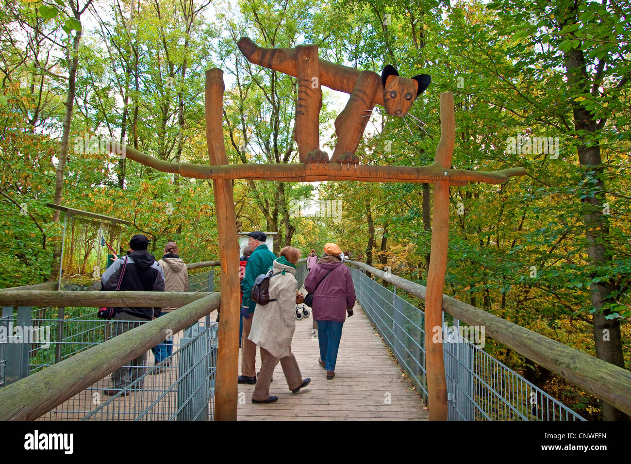 canopy walk way , Germany, Thueringen, Hainich National Park Stock Photo