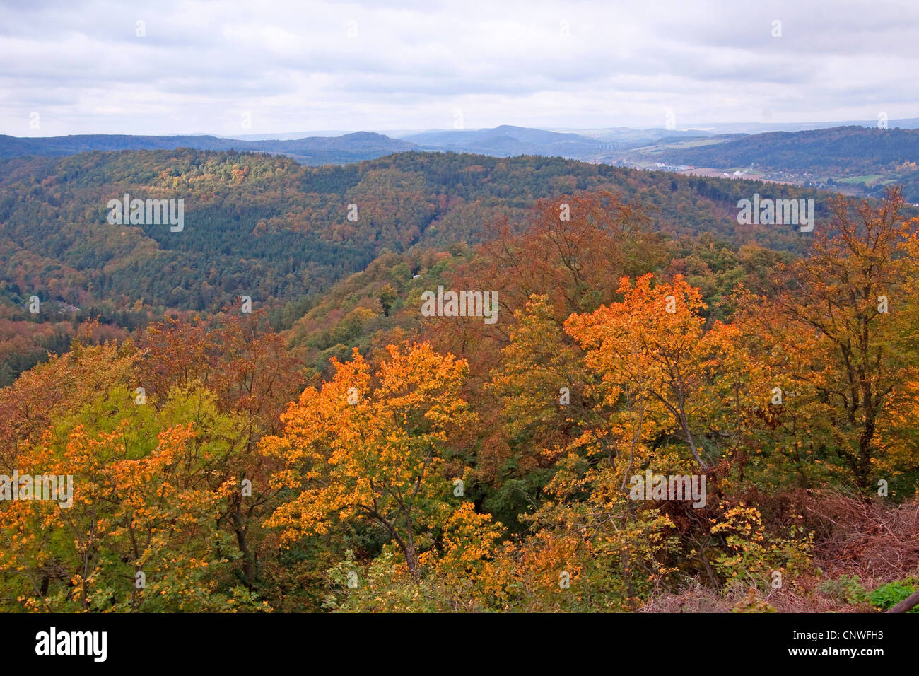 view from Wartburg Castle to Thuringian Forest, Germany, Thueringen, Wartburg, Eisenach Stock Photo