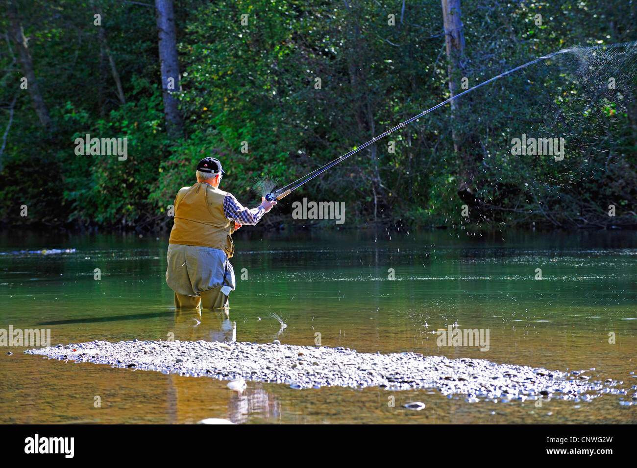 man fishing in Alnarko River, Canada, British Columbia, Bella Coola Stock  Photo - Alamy