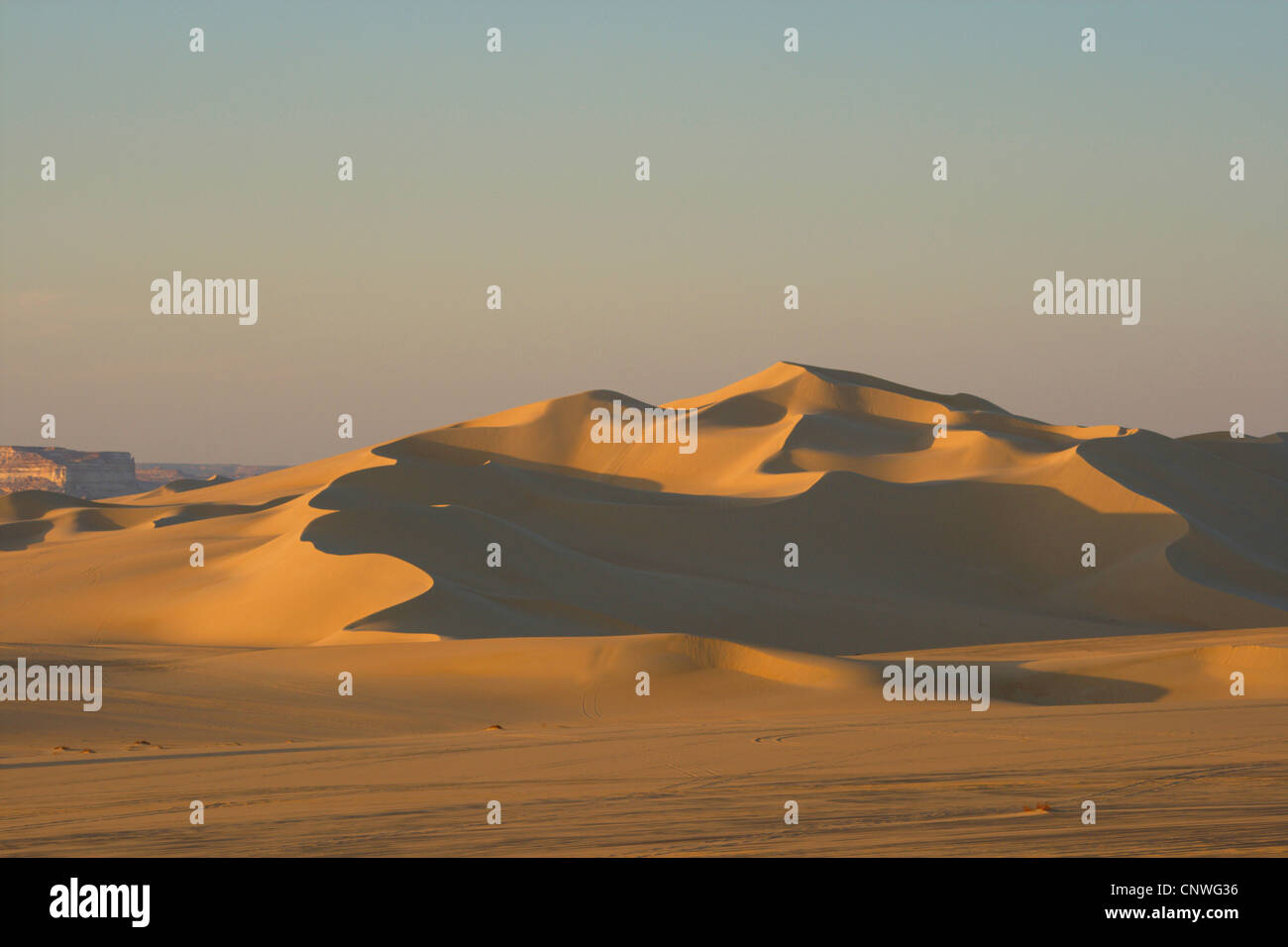 dune in the Great Sand Sea, Egypt, Libysche Wueste, Grosse Sandsee Stock Photo Alamy