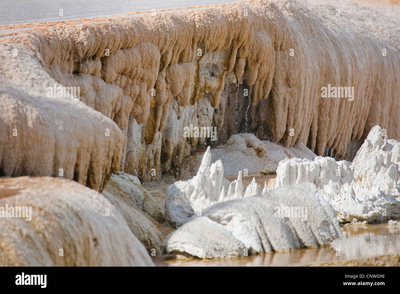 detail of travertine terraces at Mammoth Hot Springs, USA, Wyoming, Yellowstone National Park Stock Photo