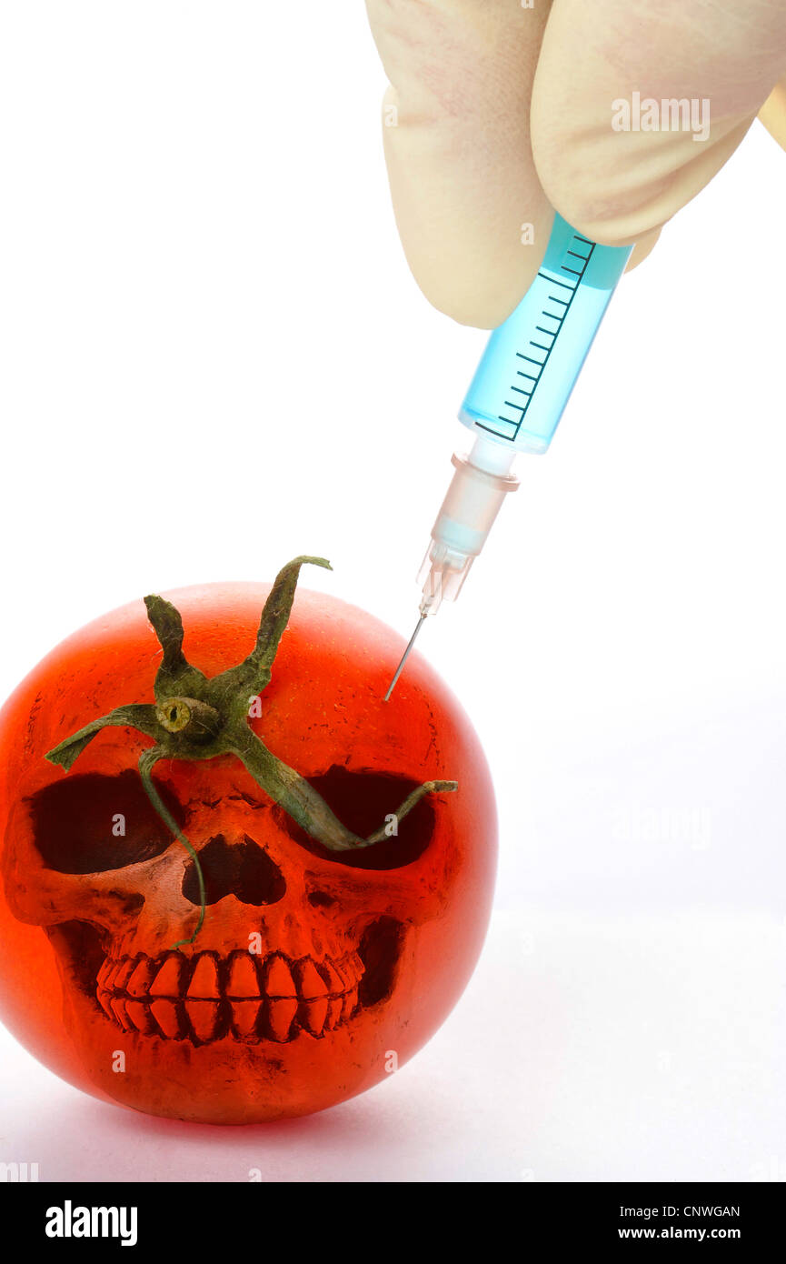 tomato (Lycopersicon lycopersicum), GMO tomato with skull and injection Stock Photo