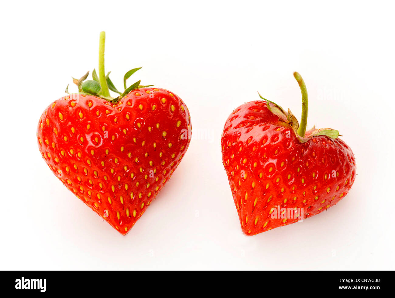 hybrid strawberry, garden strawberry (Fragaria x ananassa, Fragaria ananassa), heart-shaped strawberries Stock Photo