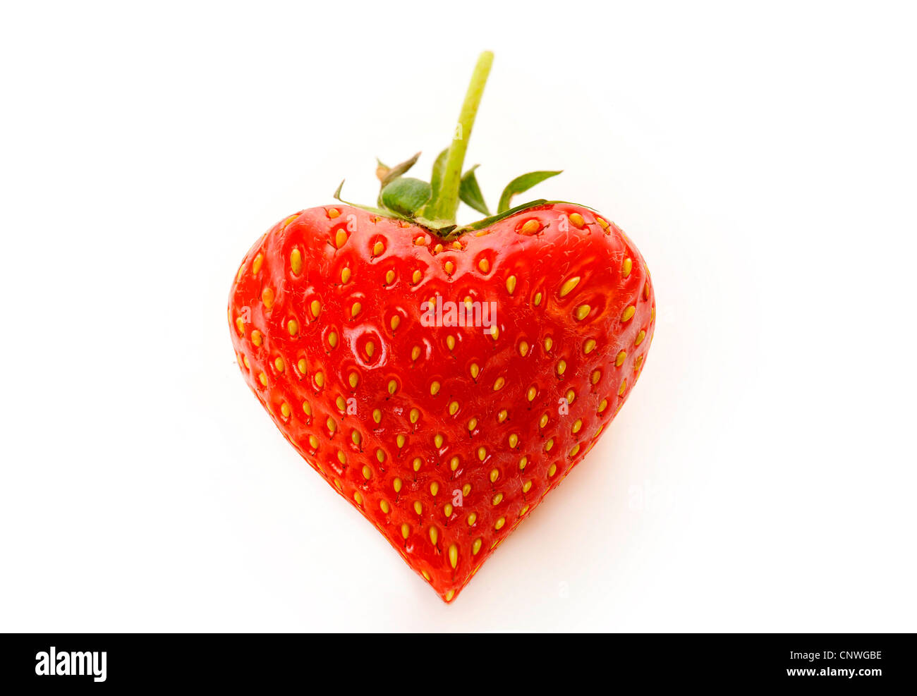 hybrid strawberry, garden strawberry (Fragaria x ananassa, Fragaria ananassa), heart-shaped strawberries Stock Photo
