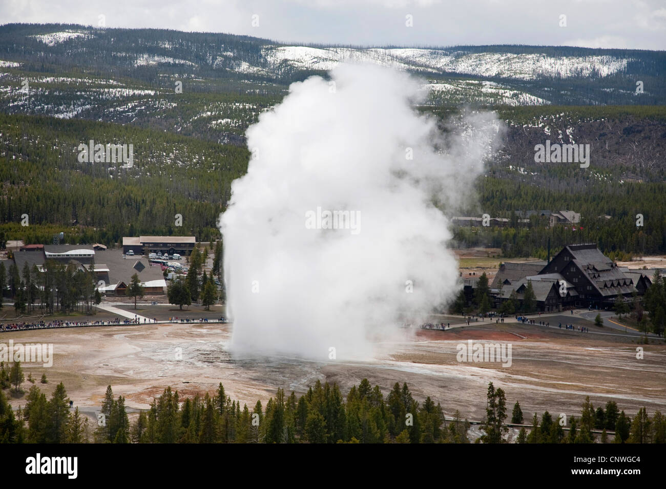 eruption of Old Faithful geyser, USA, Wyoming, Yellowstone National Park Stock Photo