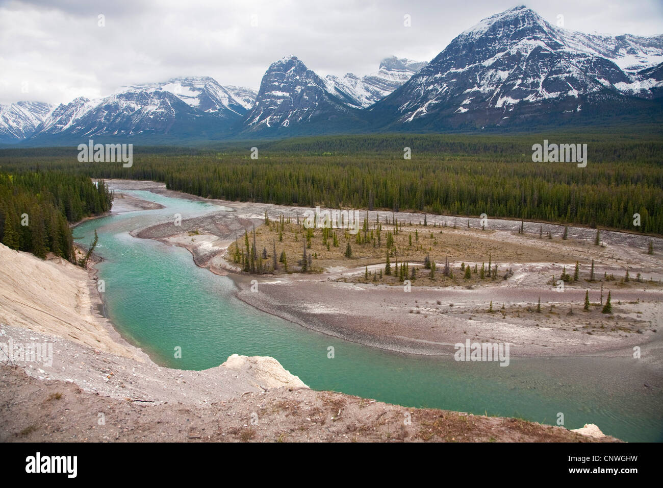 Maligne River in mountain scenery, Canada, Alberta, Jasper National Park Stock Photo