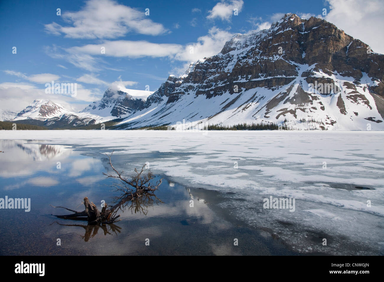partly frozen Bow Lake and mountain scenery, Canada, Alberta, Banff National Park Stock Photo