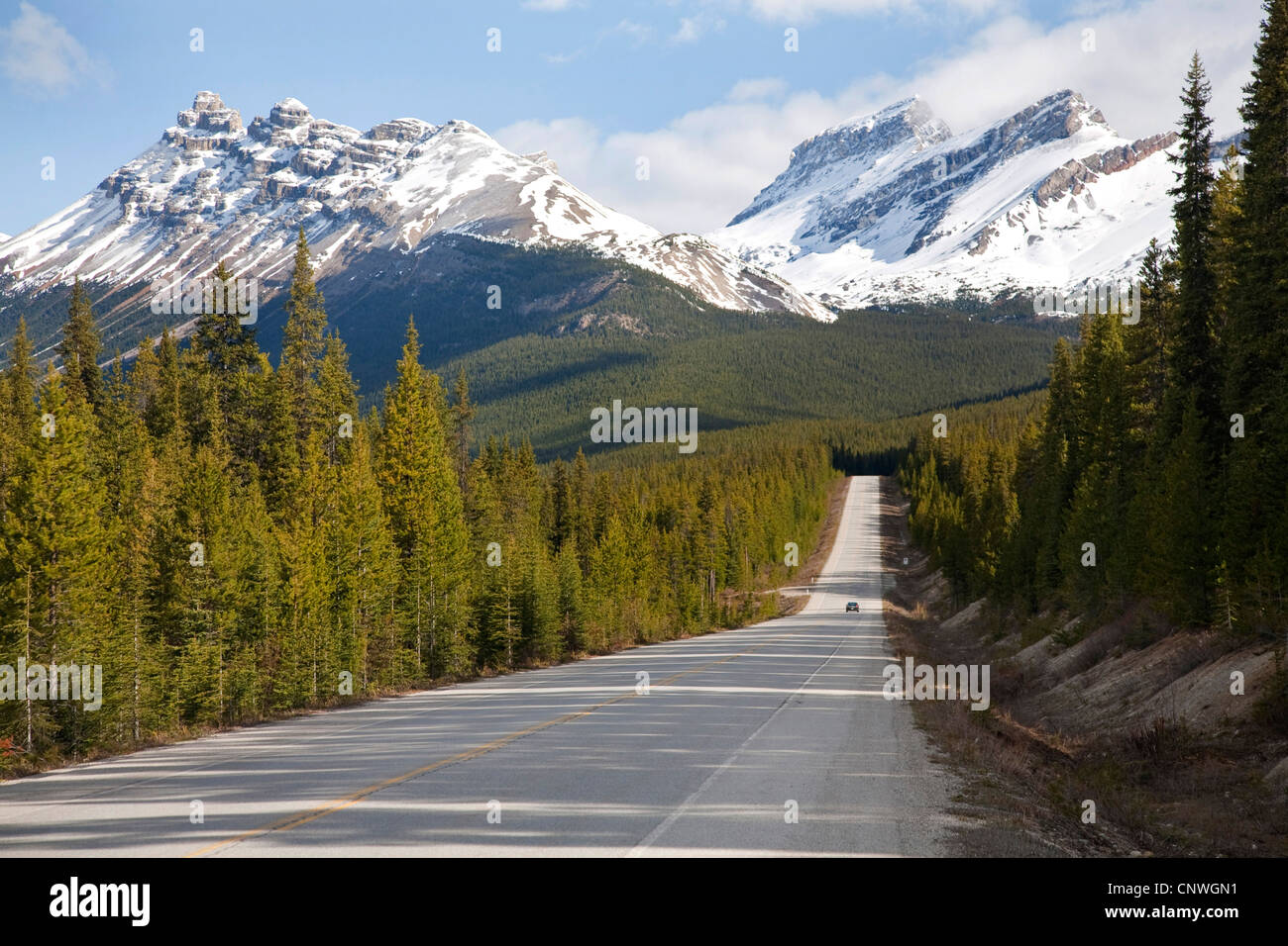 Icefields Parkway in mountain scenery, Canada, Alberta, Banff National Park Stock Photo