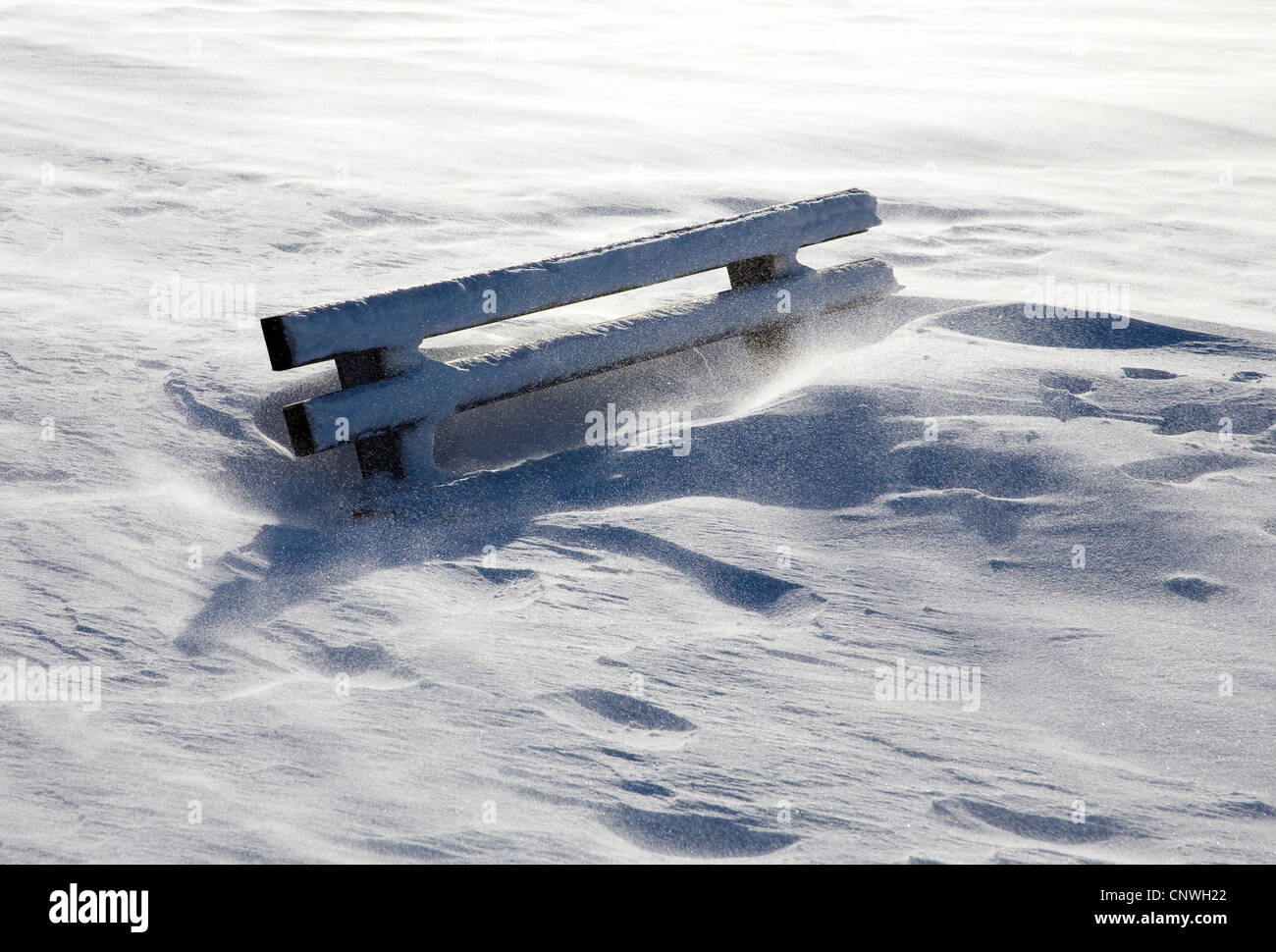 snow-covered bench, Germany, Baden-Wuerttemberg, Black Forest Stock Photo