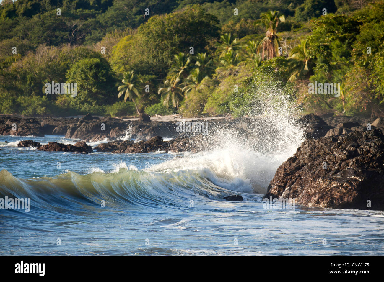coast and surf near Montezuma, Nicoya Peninsula, Costa Rica, Central