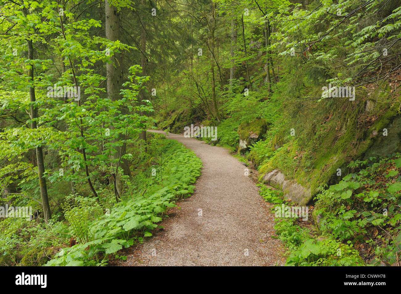 Triberg Germany High Resolution Stock Photography And Images - Alamy