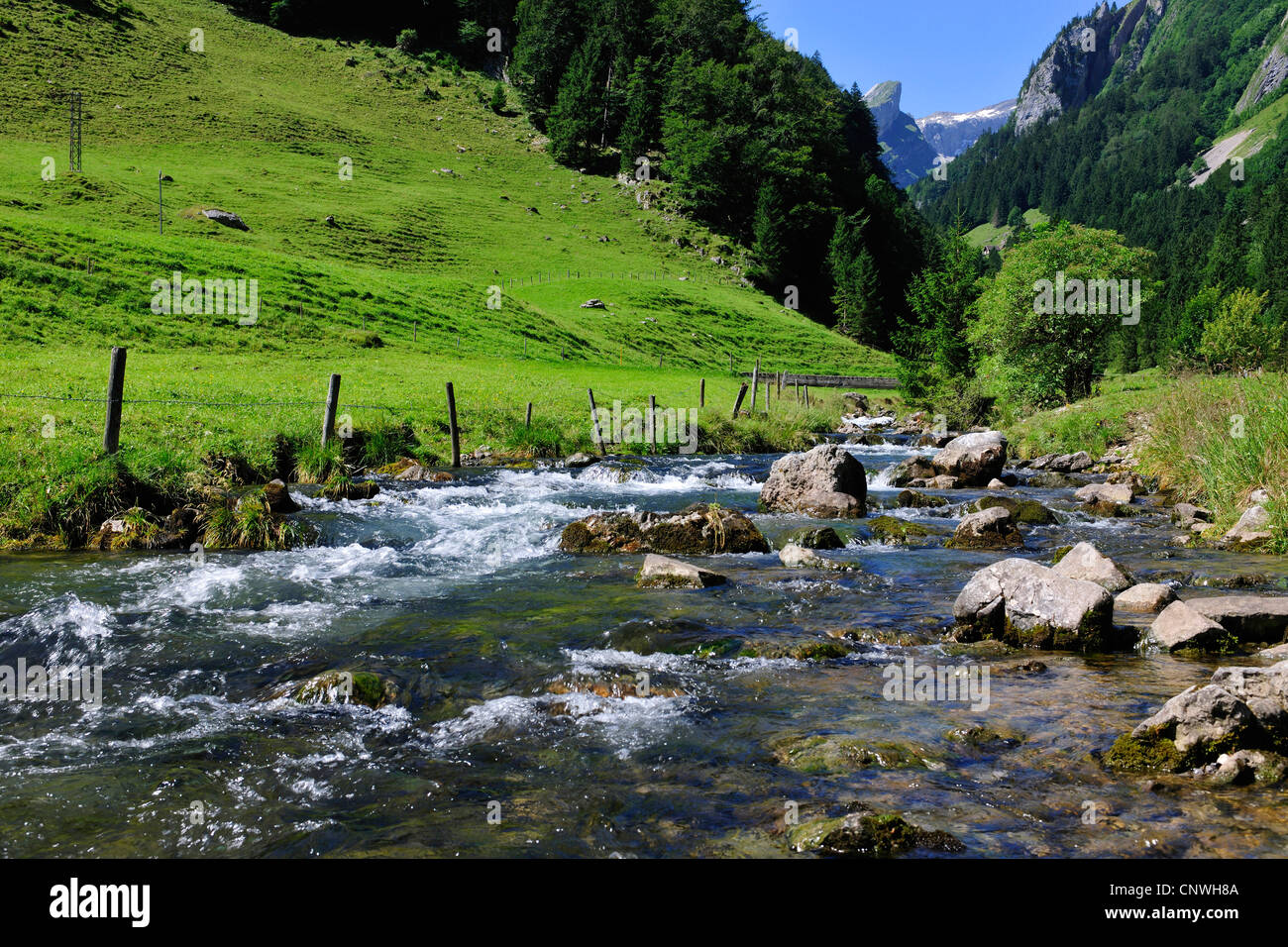 mountain brook, Switzerland, Appenzell, Alpstein Stock Photo