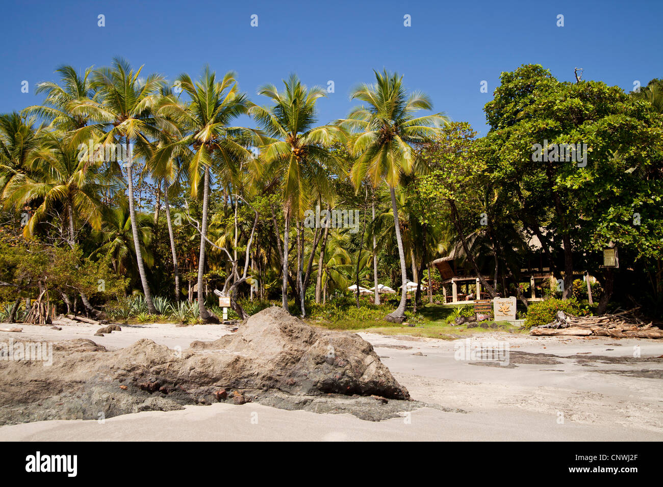 Ylang Ylang Hotel, Montezuma, Nicoya Peninsula, Costa Rica, Central ...
