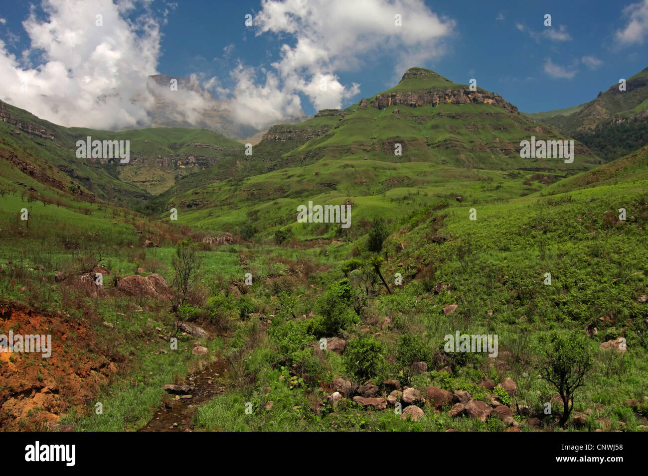 view over mountain meadows at the Monk's Cowl at the Drakensberg, South Africa, Kwazulu-Natal, Ukhahlamba Drakensberg Park Stock Photo