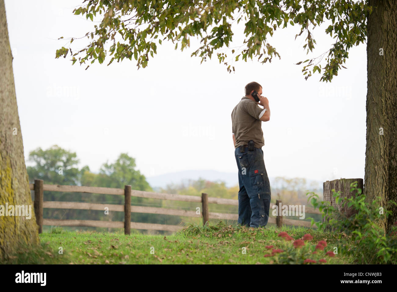Farmer running small business grain operation from cell phone Washington County Maryland Stock Photo