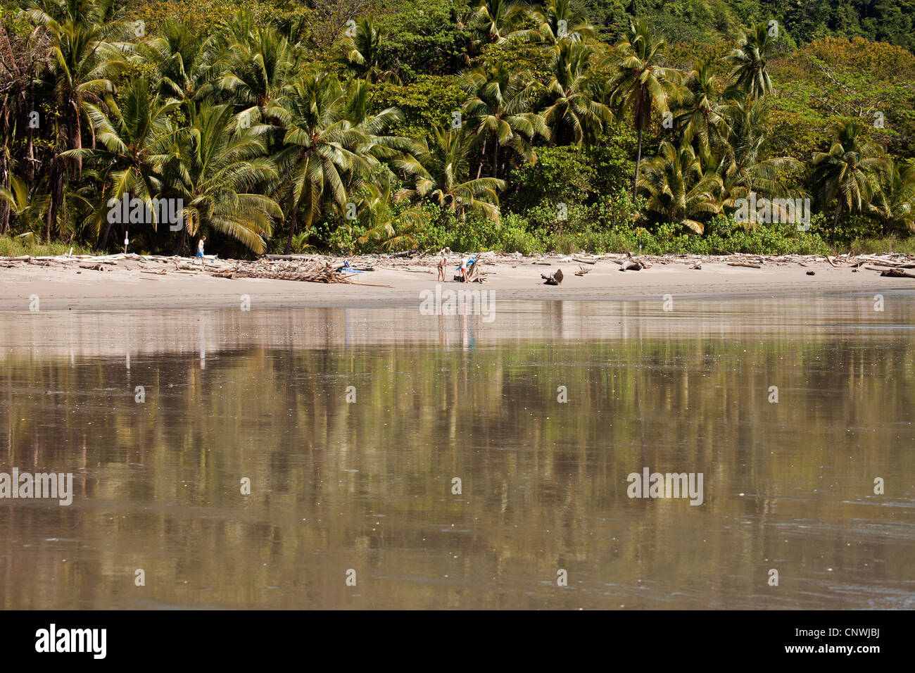 low tide at Playa Grande, a long sandy beach near Montezuma, Nicoya Peninsula, Costa Rica, Central America Stock Photo