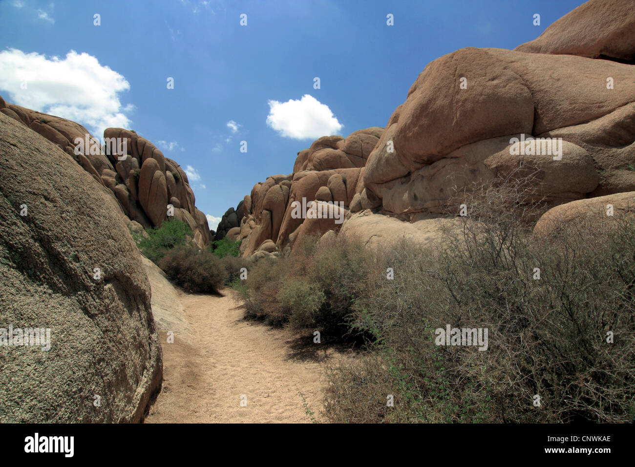 bizarr rocks formed of lava at Wonderland of Rocks, USA, California ...