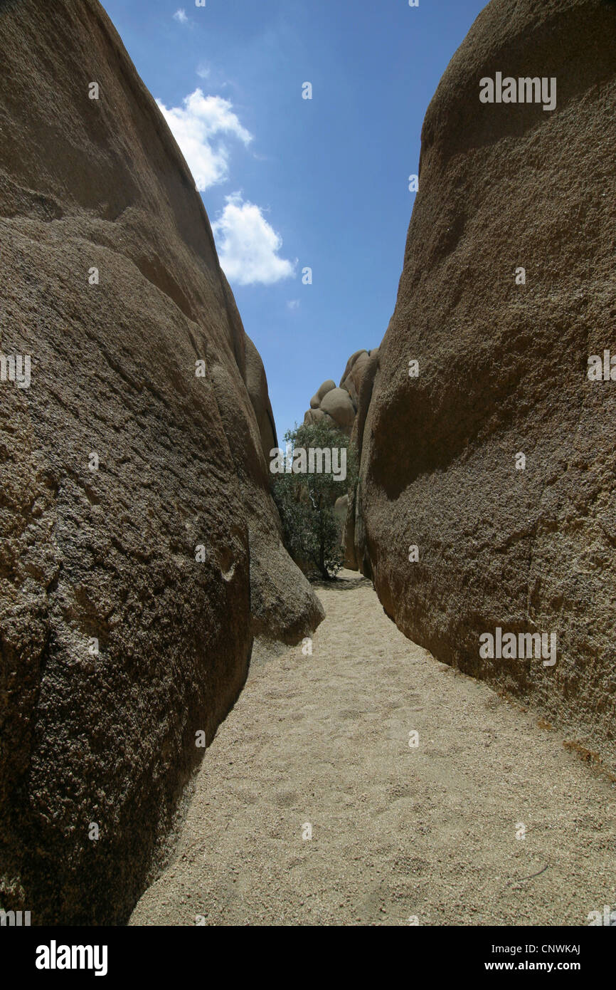 bizarr rocks formed of lava at Wonderland of Rocks, USA, California ...