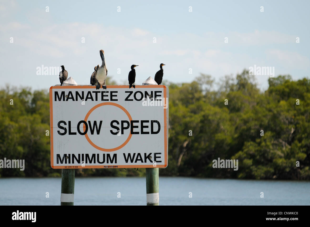 Speed sign, Sanibel Island, Florida Stock Photo