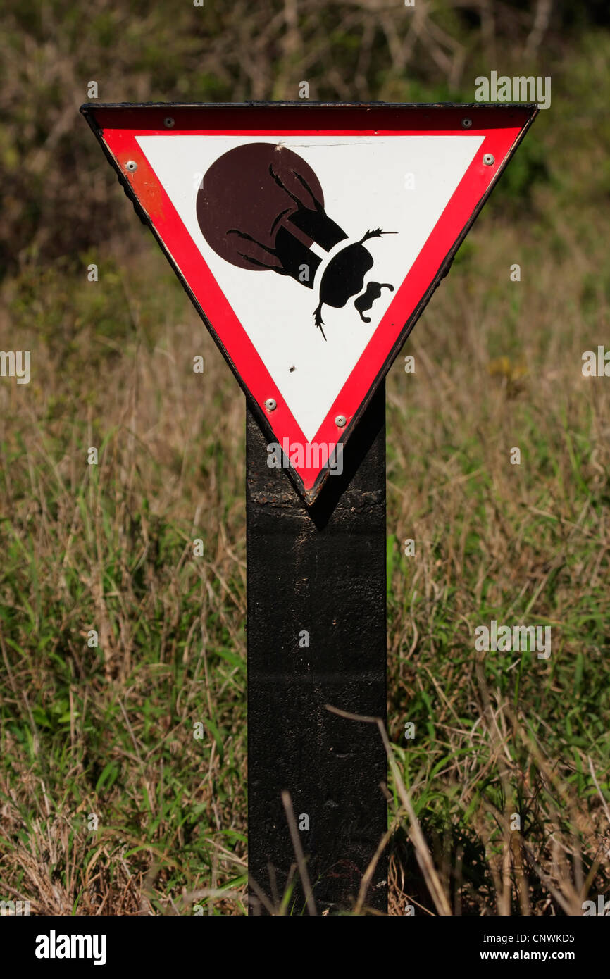 Insects Signange warning signs telling pedestrians to protect the useful dung beetle ...