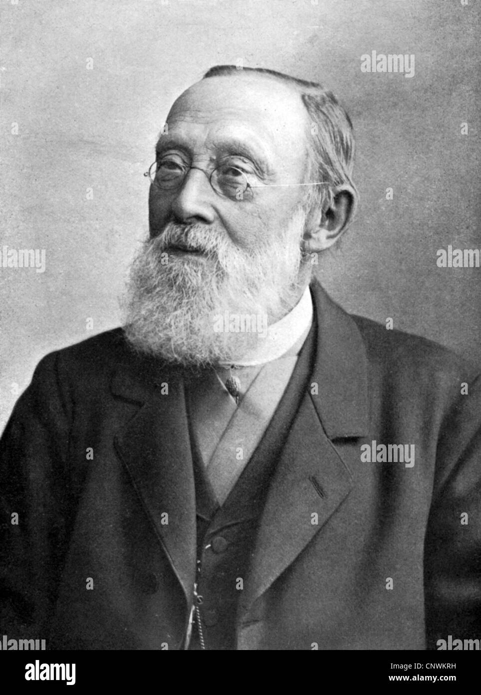 Virchow, Rudolf, 13.10.1821 - 5.9.1902, German physician and politician, portrait, circa 1900, , Stock Photo