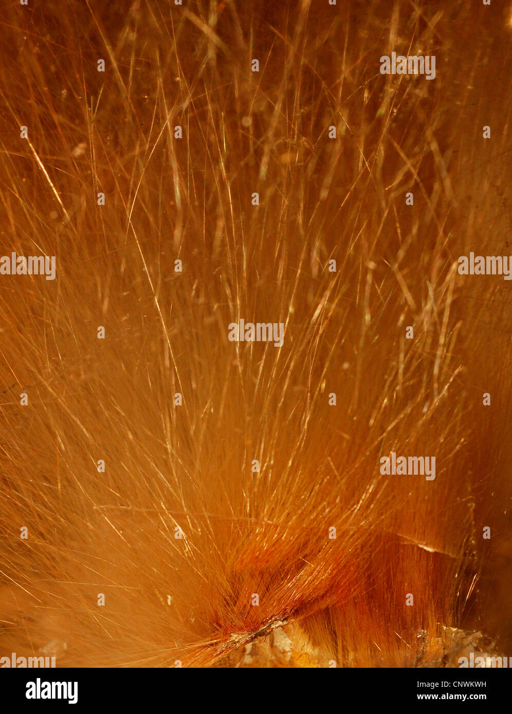 yellow Rutilated Quartz Stock Photo Alamy