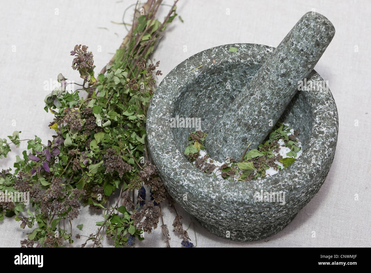 dried herbs in a mortar Stock Photo