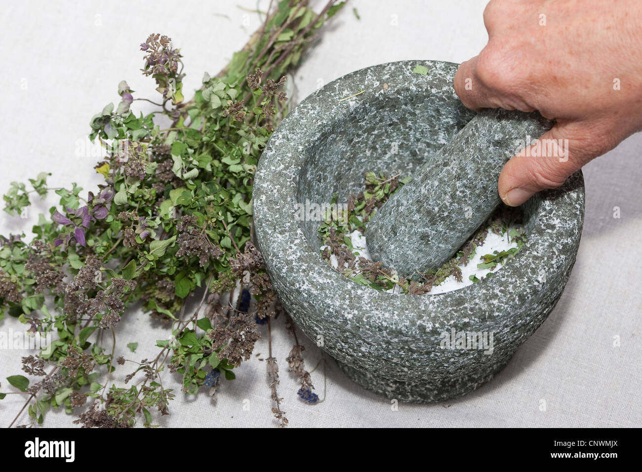 dried herbs in a mortar Stock Photo