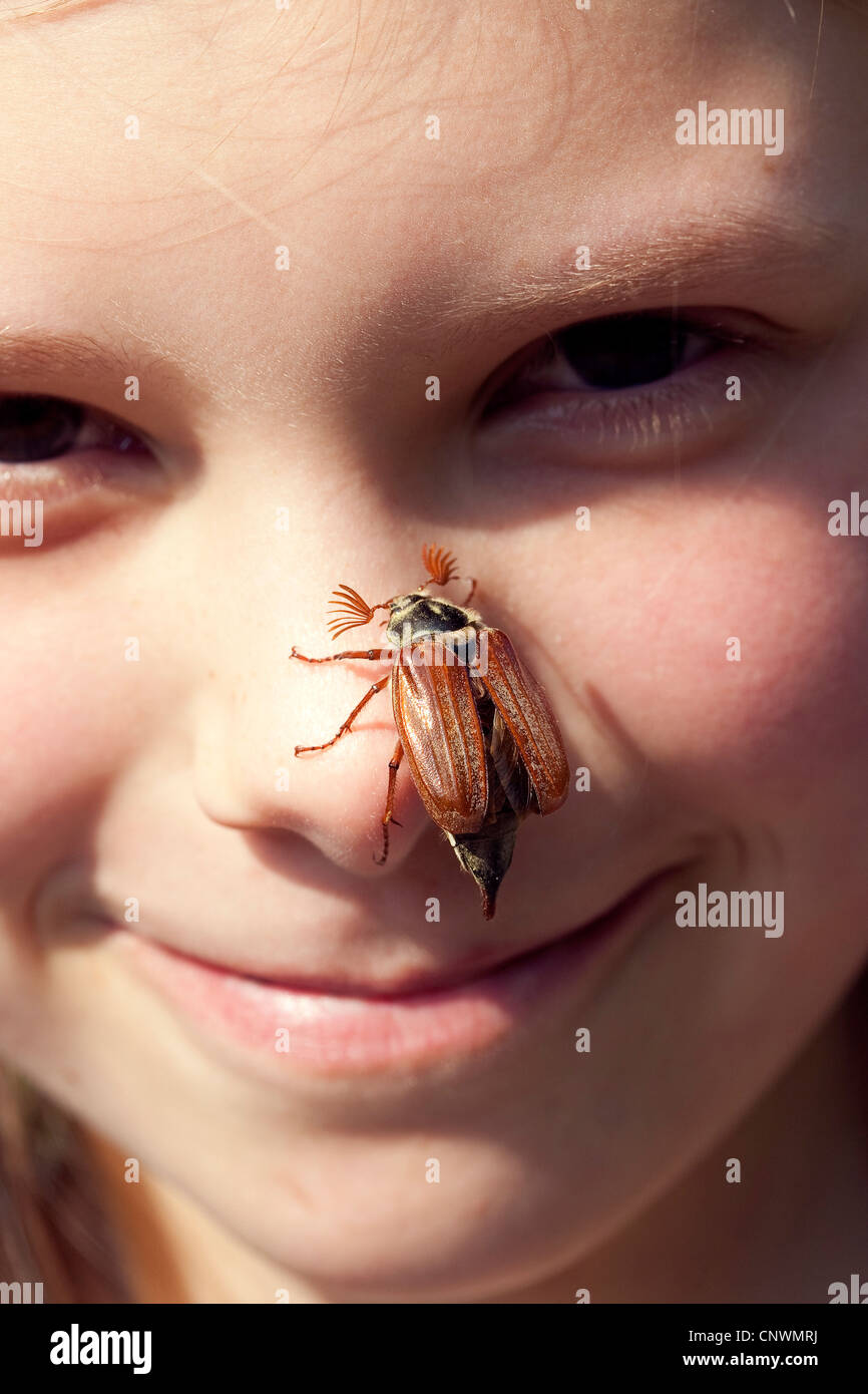 common cockchafer, maybug (Melolontha melolontha), sitting on a girl's nose, Germany Stock Photo