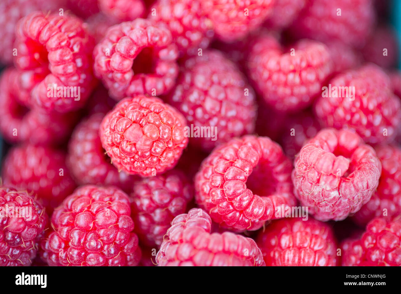 Raspberries at farmer's market Stock Photo