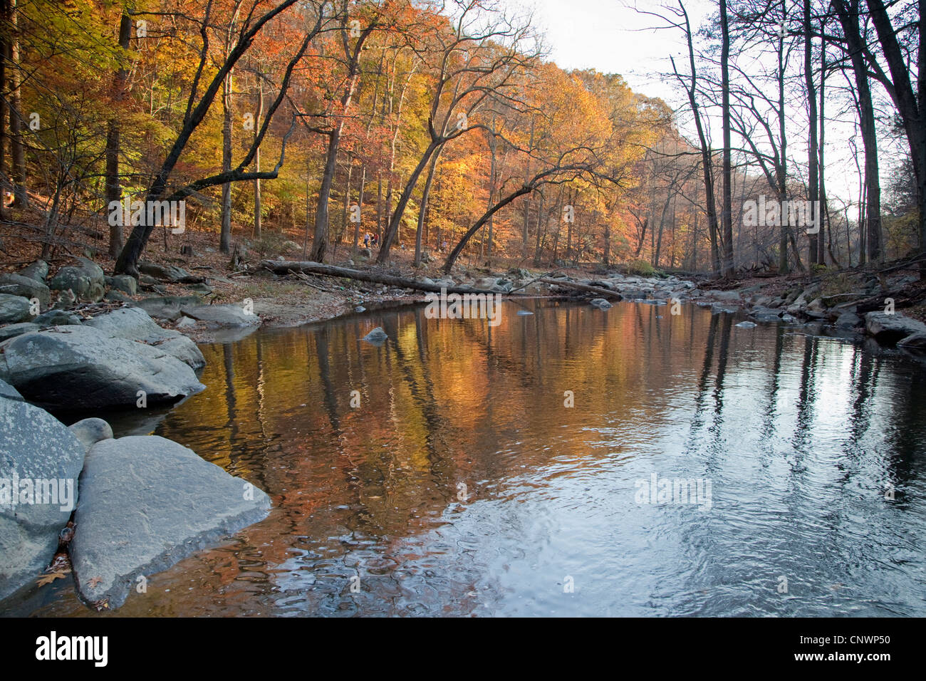Rock creek park washington dc hi-res stock photography and images - Alamy